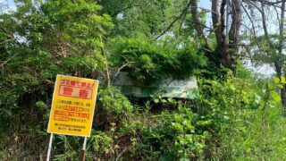【動物利用事業】トカラヤギの除草実証実験に関し養父市から回答がありました【兵庫県】