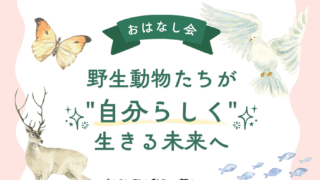 【おしらせ】野生動物のおはなし会を開催します