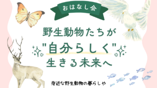 【おしらせ】野生動物のおはなし会を開催します