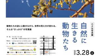 【おしらせ】写真展「自然に生きる動物たち」を開催します